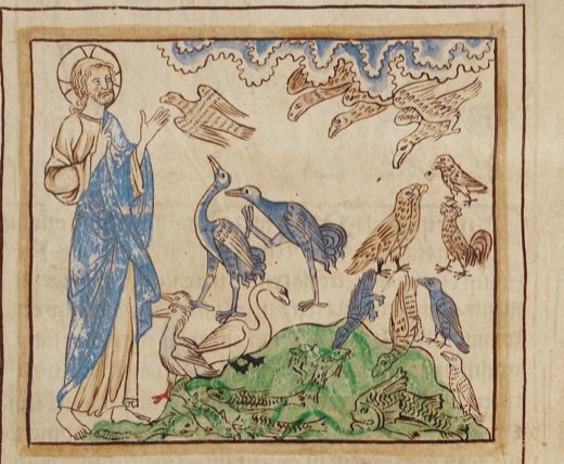 The Creation of the Birds and Fishes (Ms. 100, fol. 3, from the Northumberland Bestiary)