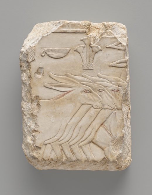 Tomb Wall Fragment Depicting Donkeys