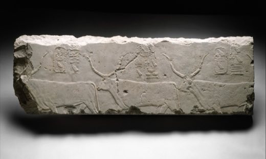 Relief fragment with king Khufu's cattle