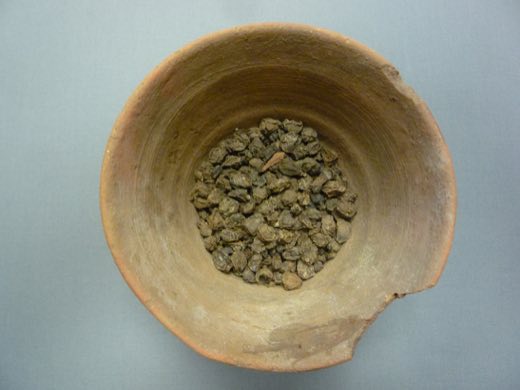 Bowl of Raisins