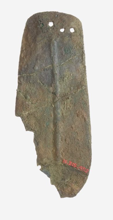 Scale from Armor