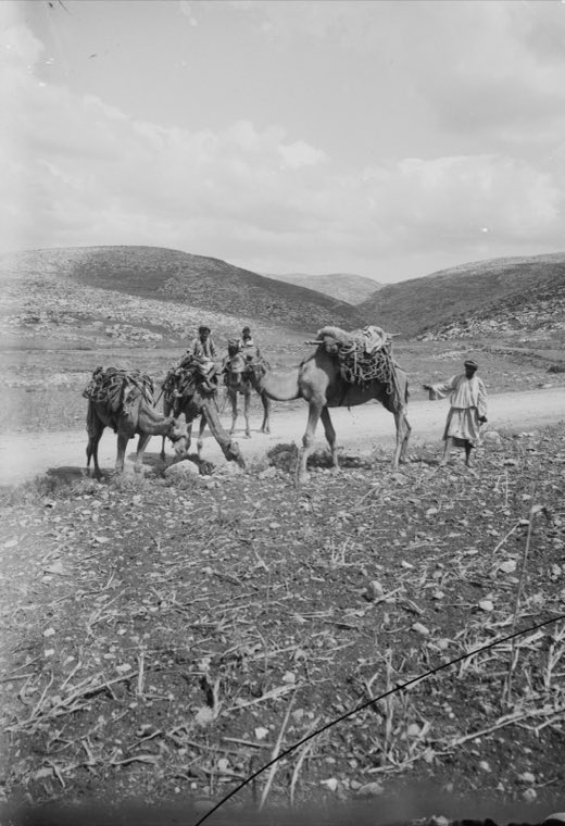 Jaffa to Jerusalem. Valley of Ajalon