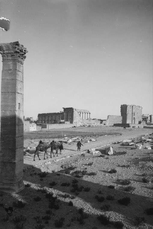 Palmyra (Tadmor). General view of Temple of the Sun