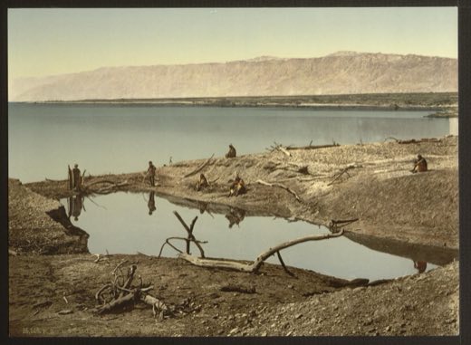 The northern shore of the Dead Sea (the Salt Sea), with driftwood on the beach and the mountains of Moab beyond, c. 1890–1900.