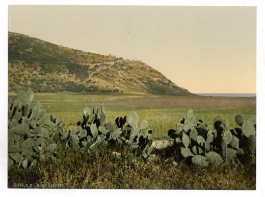 The ridge of Mount Carmel rising above the plain near the sea, c. 1890–1900.