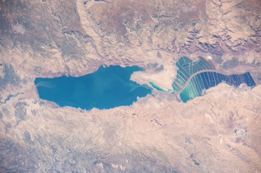 The Dead Sea
