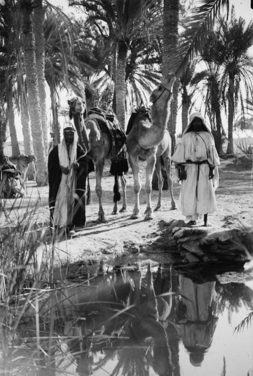To Sinai via the desert. Scene at the Springs of Moses; (Marah?).